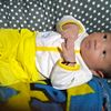 widiya5356