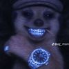 bella.fundz