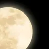 mayfqxdu8w