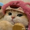 .jusmefira