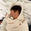 reborn.auggie