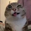 mceditz64