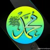 aminabkr30