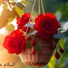 tehmina.fahad2