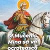 iuliana.cernica