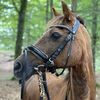 johanne.frch