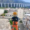 spezia_collect3
