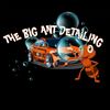 thebigantdetailing
