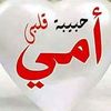 walid.fateh0