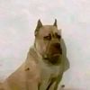 diego_bs_13