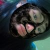 soy.bri_0