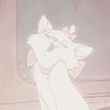 toscaloveskittysmeow