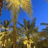 rore_8899
