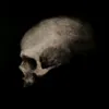 ArchivoNecro💀