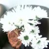 lyly_angle19