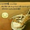 chitlwan015