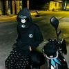 el_bivis_25