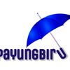 payungbiru86