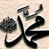 alioune.diop798