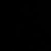 bolp417