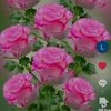 user8148129041888