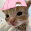 nào tóc dài đổi tên