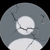 waldi_02
