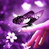 huynh.huong23