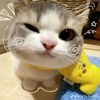 nang.noy725