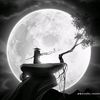 rulzz0743