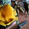 rengkek.sakti.sak