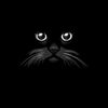 user4719532928239