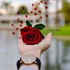 user9085616623663