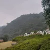 thm04551
