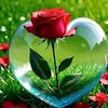 user8431046291399