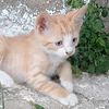 user_0183421