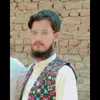 mehranjani081