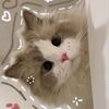 itz_yenshan