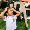 ayshu.shifa