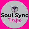 soulsynctribe-Next Level Mind