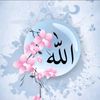 ﷽⍣⃝🌼হেদায়েতের নূর﷽⍣