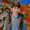 saleemsajjad019