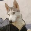 sofiane.fettus