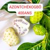 Reine AZONTCHÉKOGBÔ 🌲🌴