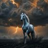 user7888115127109