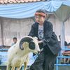 nenglulu