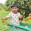 inter_jirapat
