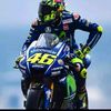 endang8733