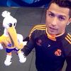 cr7833290