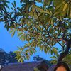 dondi3107